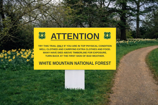 2x4 directional signs for guiding bidders to auction properties